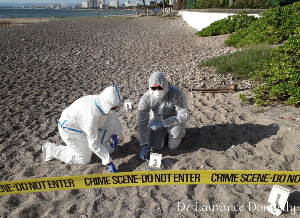 Forensic investigators in protective suits work behind police tape at an outdoor search scene, with evidence markers placed across the ground.