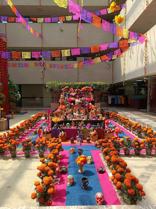 A Day of the Dead altar with skulls, orange flowers, cut paper (called papel picado) hanging from the walls, and other colourful ornaments. There is a blue and pink carpet on the ground, and many orange flowers.