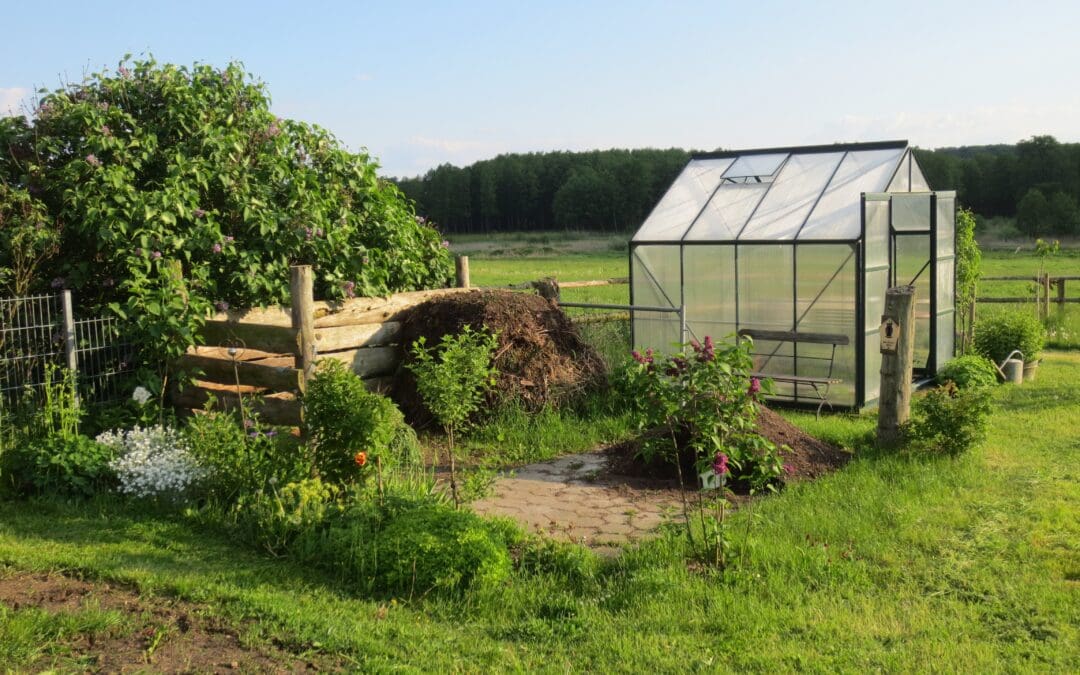 Growth from grief and the therapeutic nature of allotment work