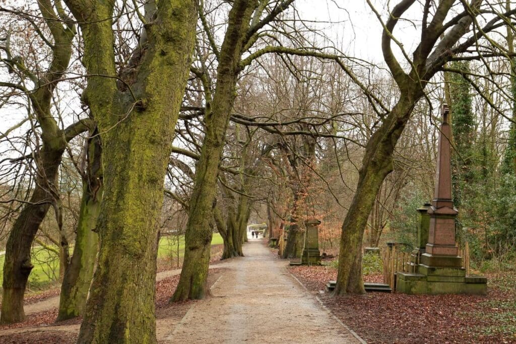 A tree-covered path in Sheffield General Cemetery