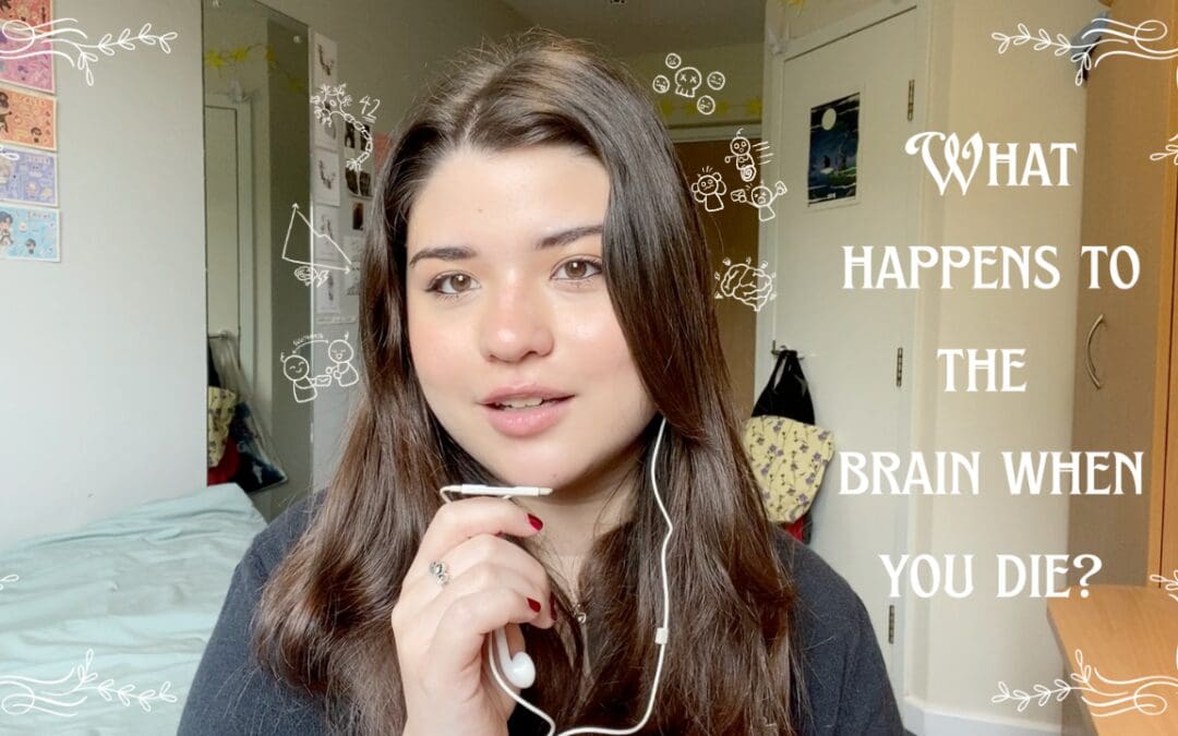 What happens to the brain when you die?