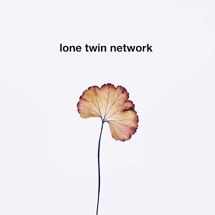 A photo of a single autumn leaf coloured brown and yellow with text reading "lone twin network" above it.